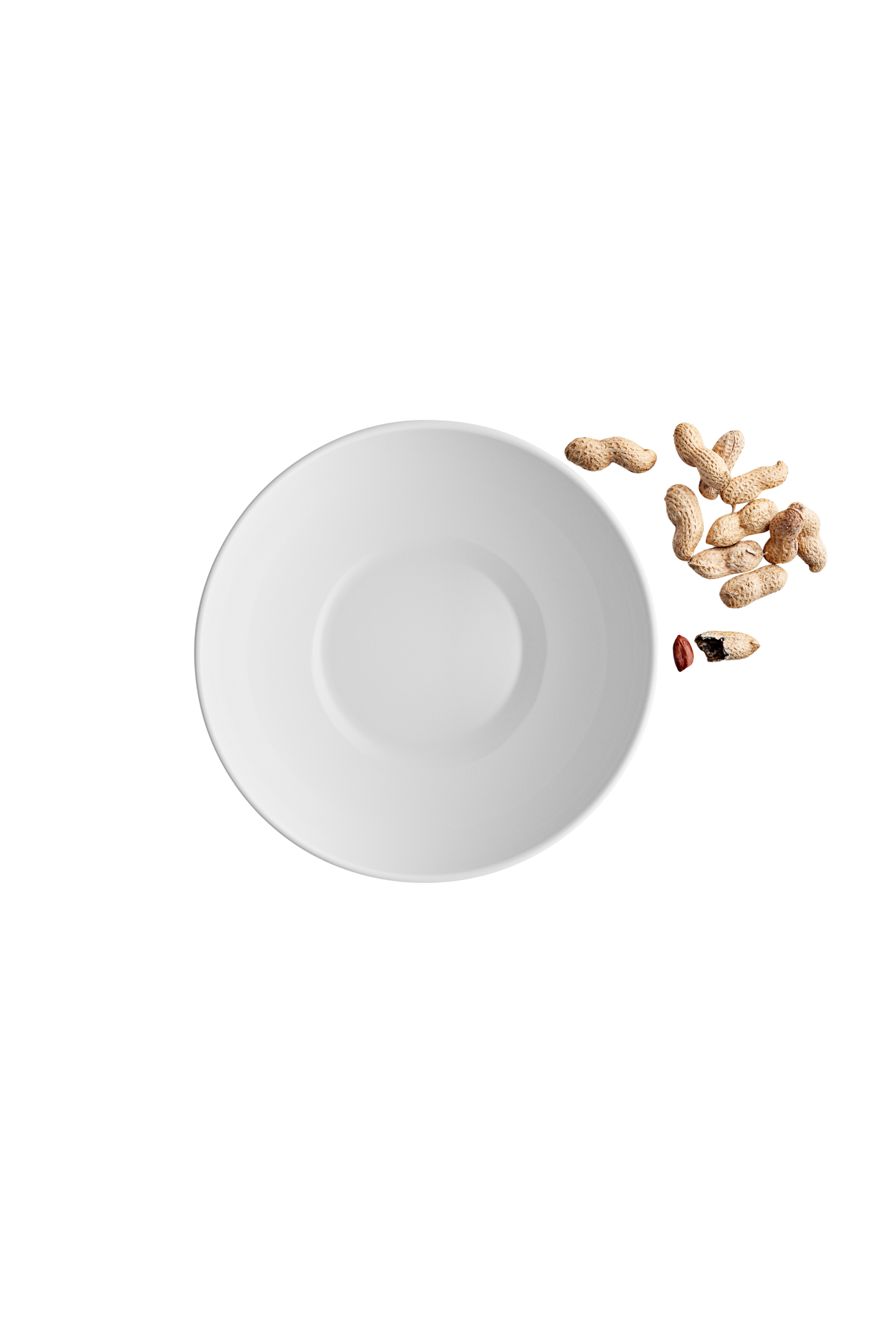 Legio Nova bowl 1.8 l