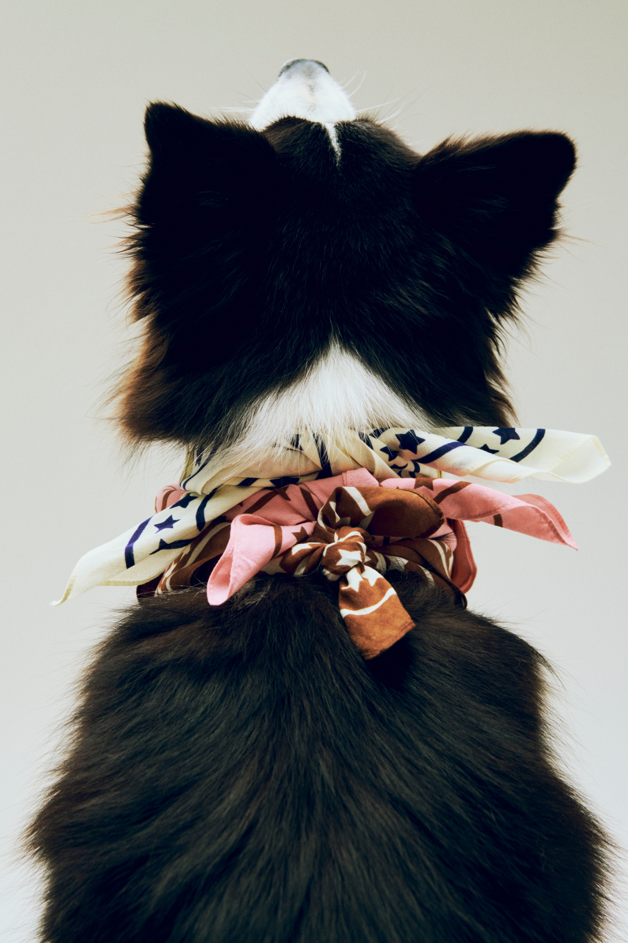 HAY Dogs Scarf (Recycled) 55x55 Off-white with blue