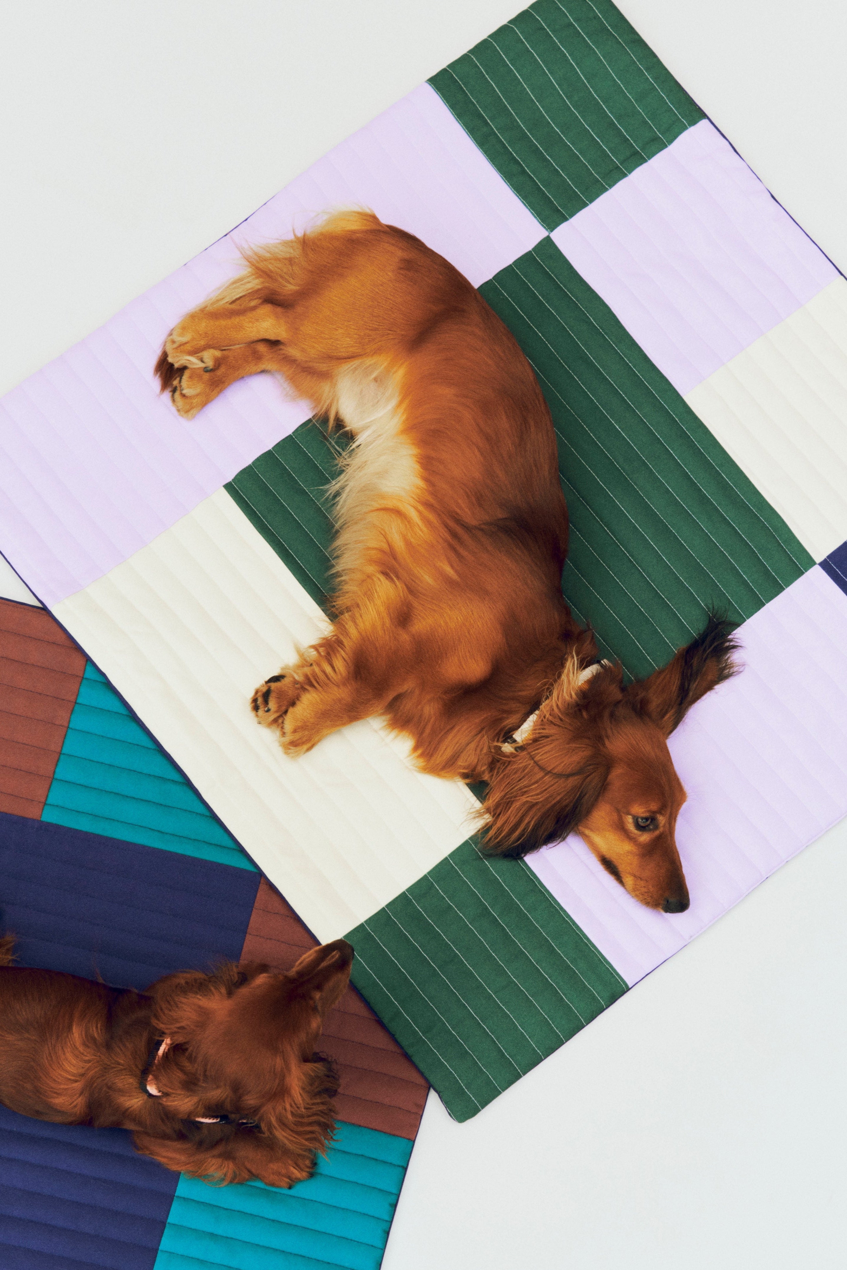 HAY Dogs Travel Blanket-80 x 80-Lavender, green and blue Quilted | Hay | Home of Solinfo