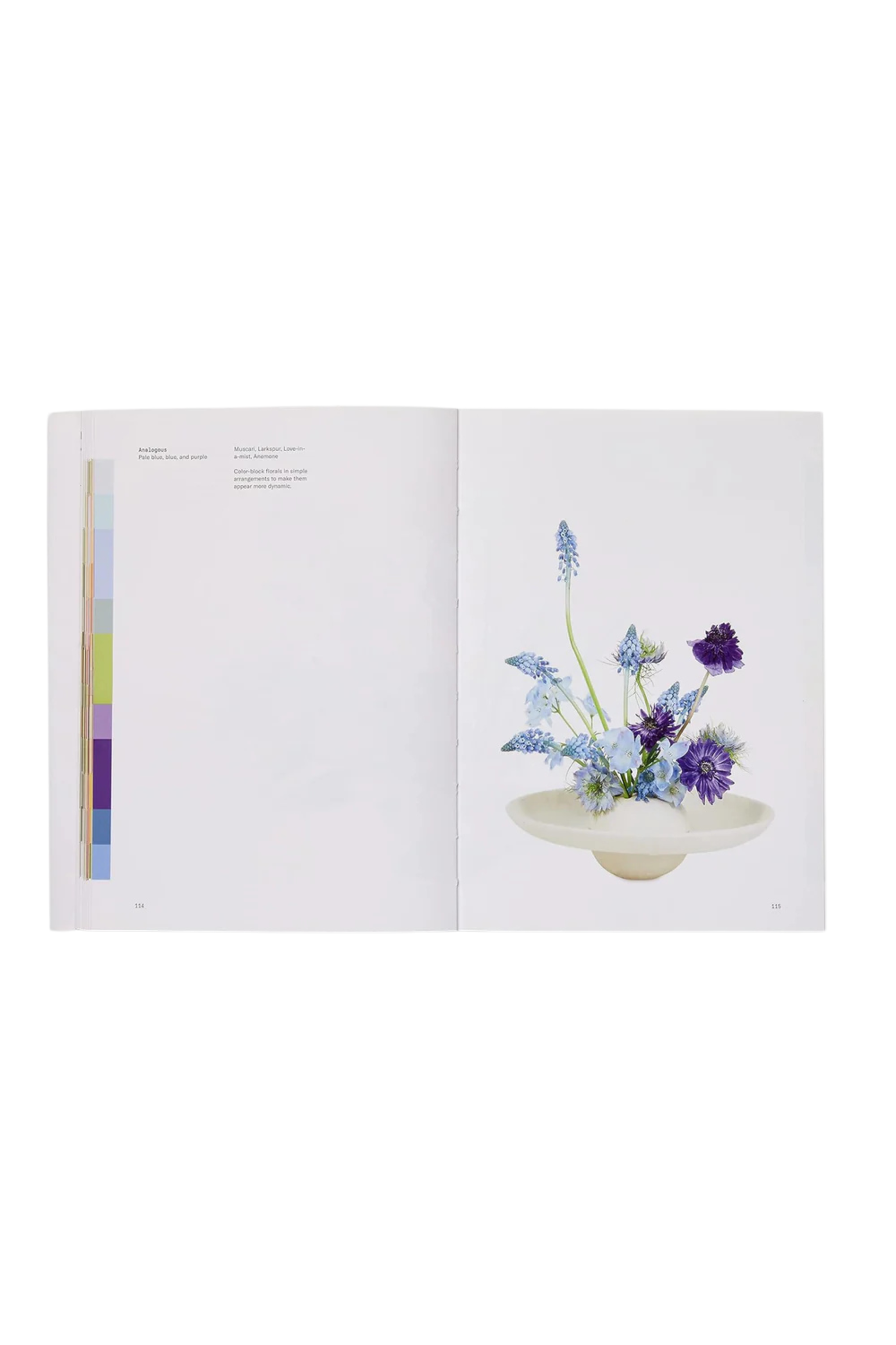Flower Colour Theory