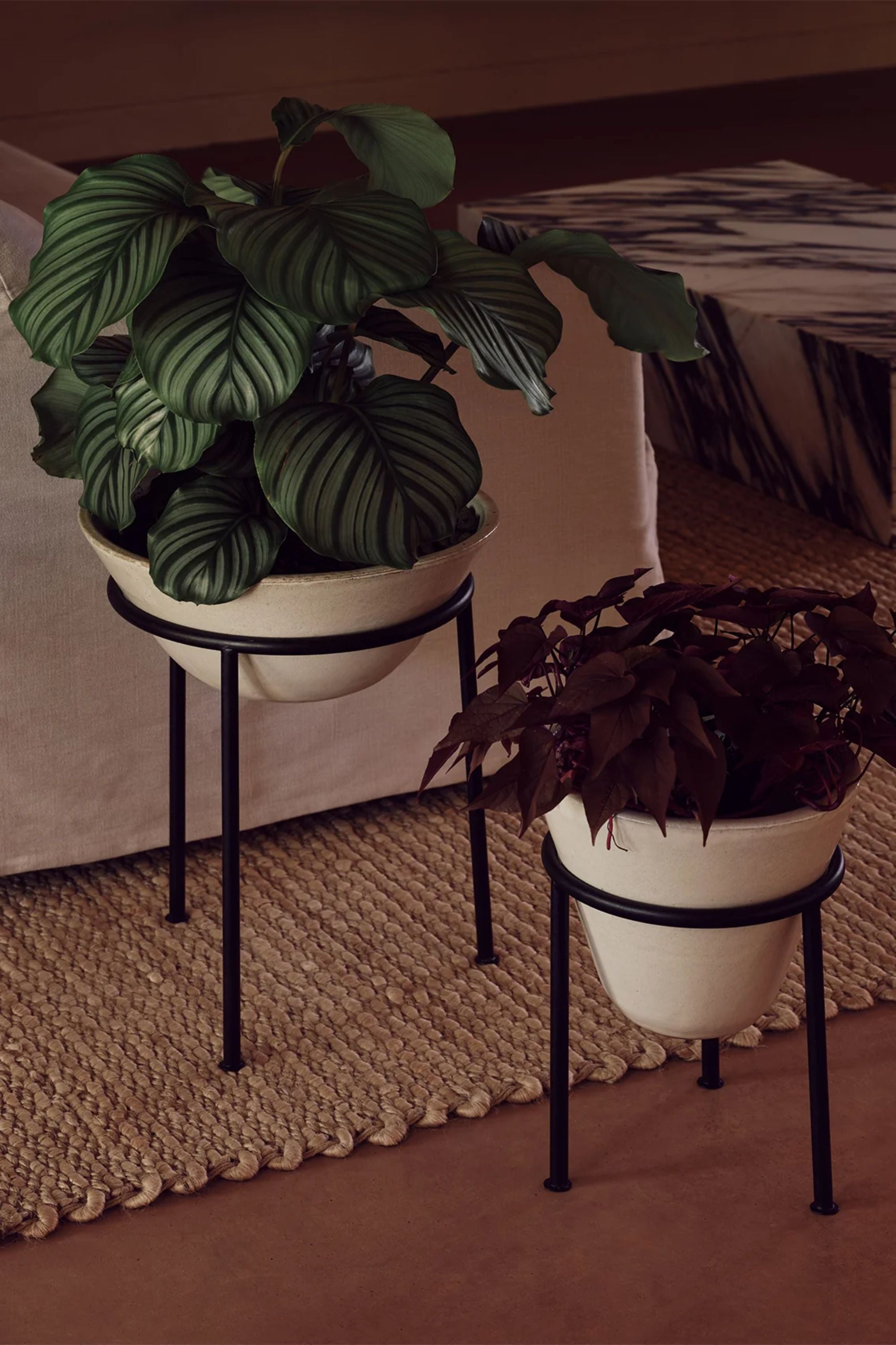 Daiza Planter H47 Ivory