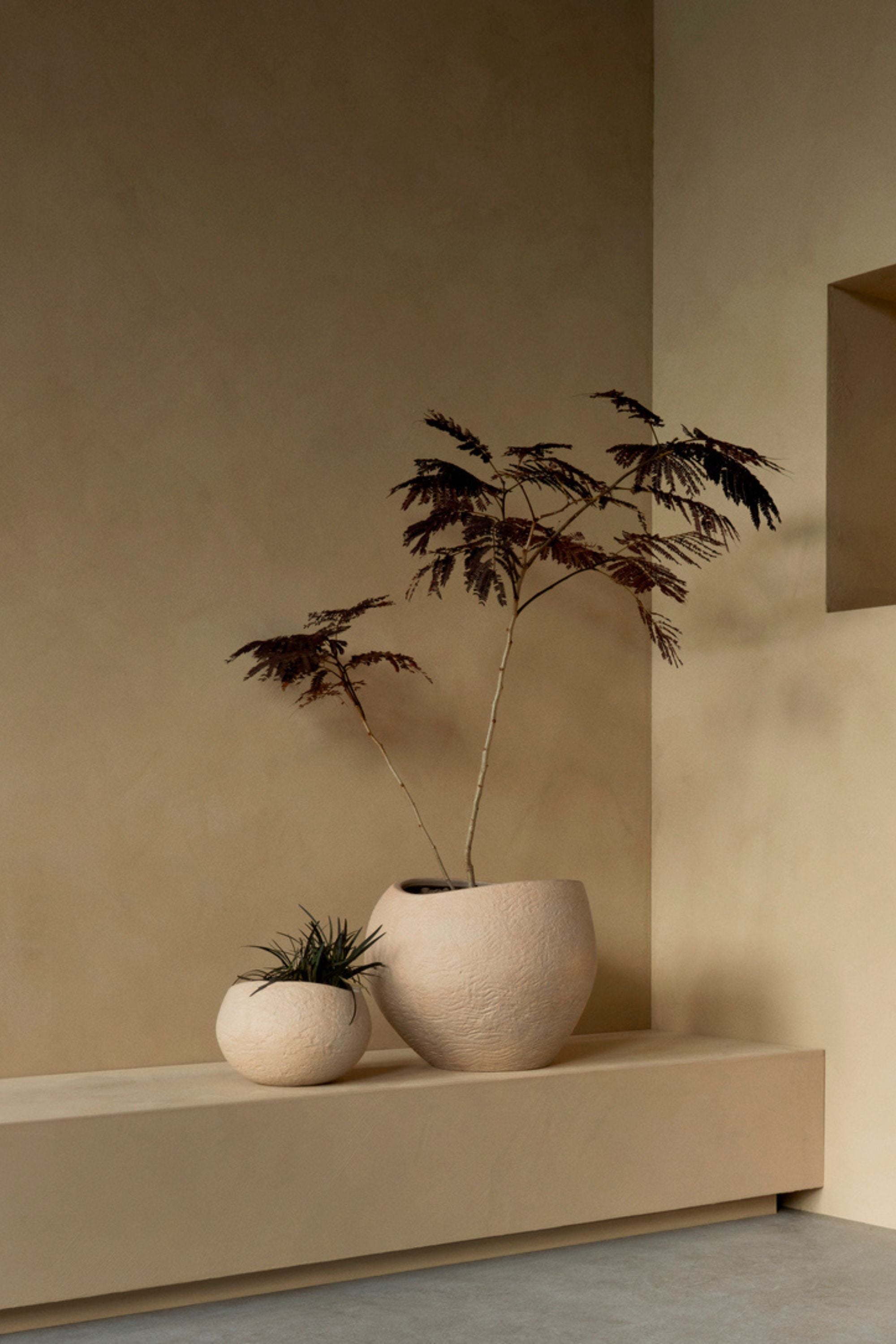 Plantas Planter H17 Ivory