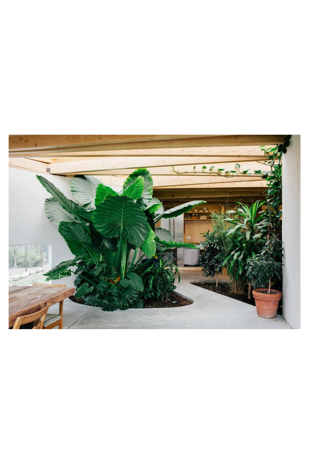 Evergreen | Gestalten | Home of Solinfo