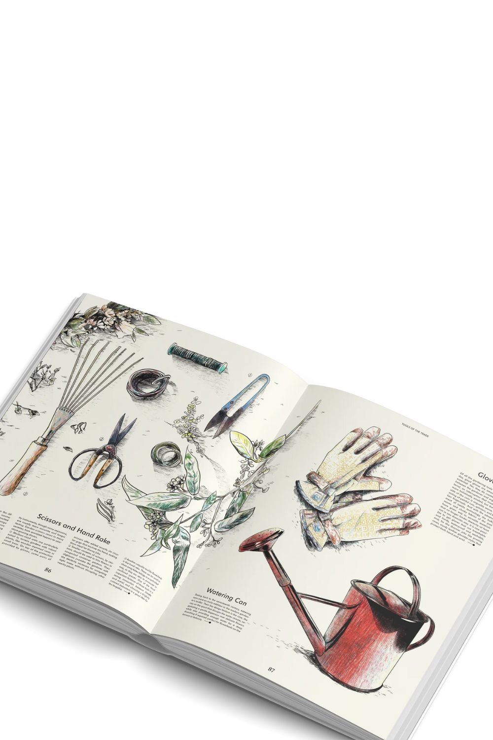 Evergreen | Gestalten | Home of Solinfo