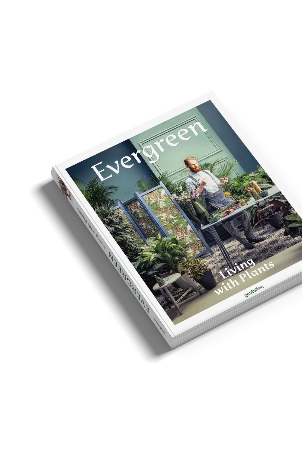 Evergreen | Gestalten | Home of Solinfo