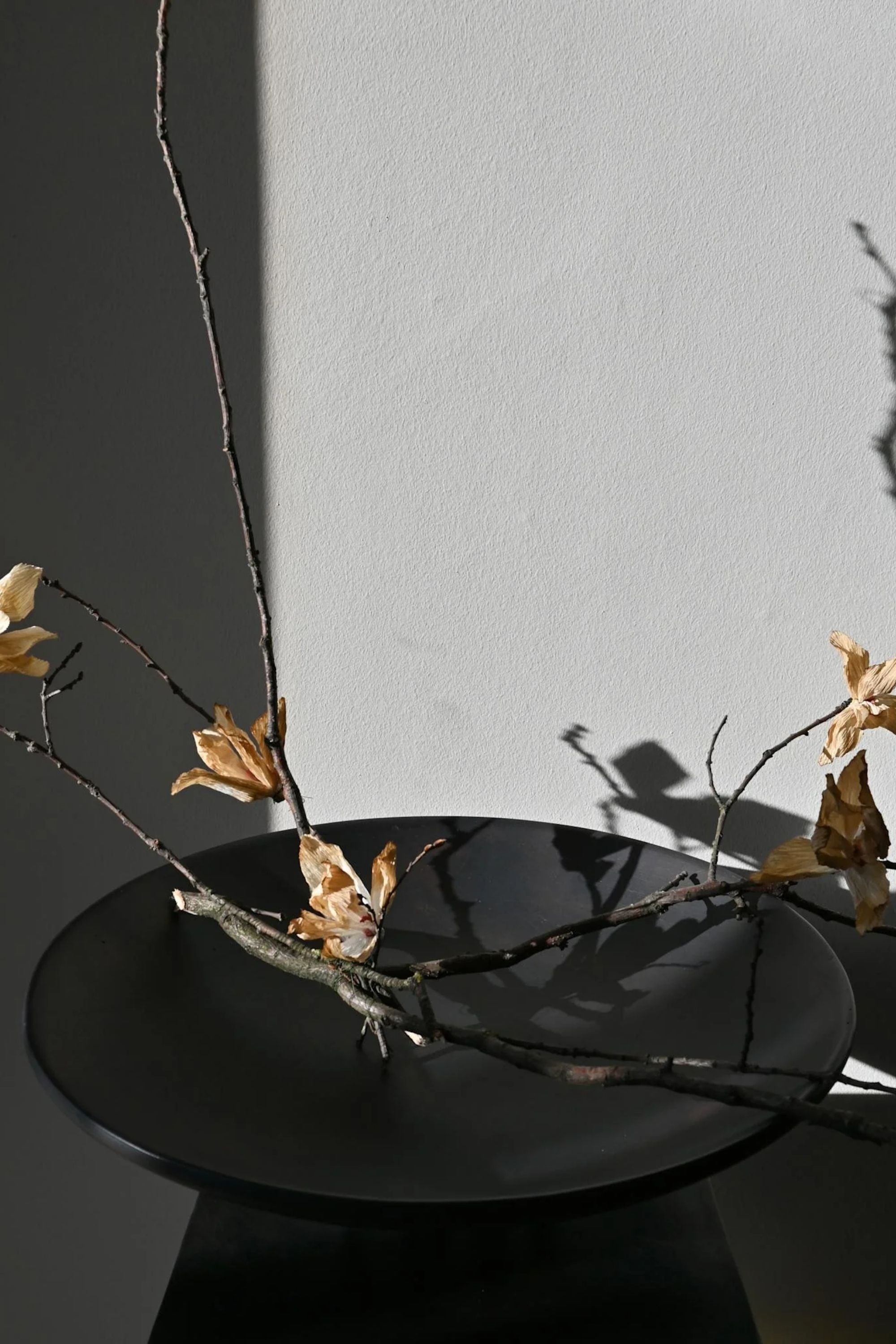 Medusa tál kávészínű