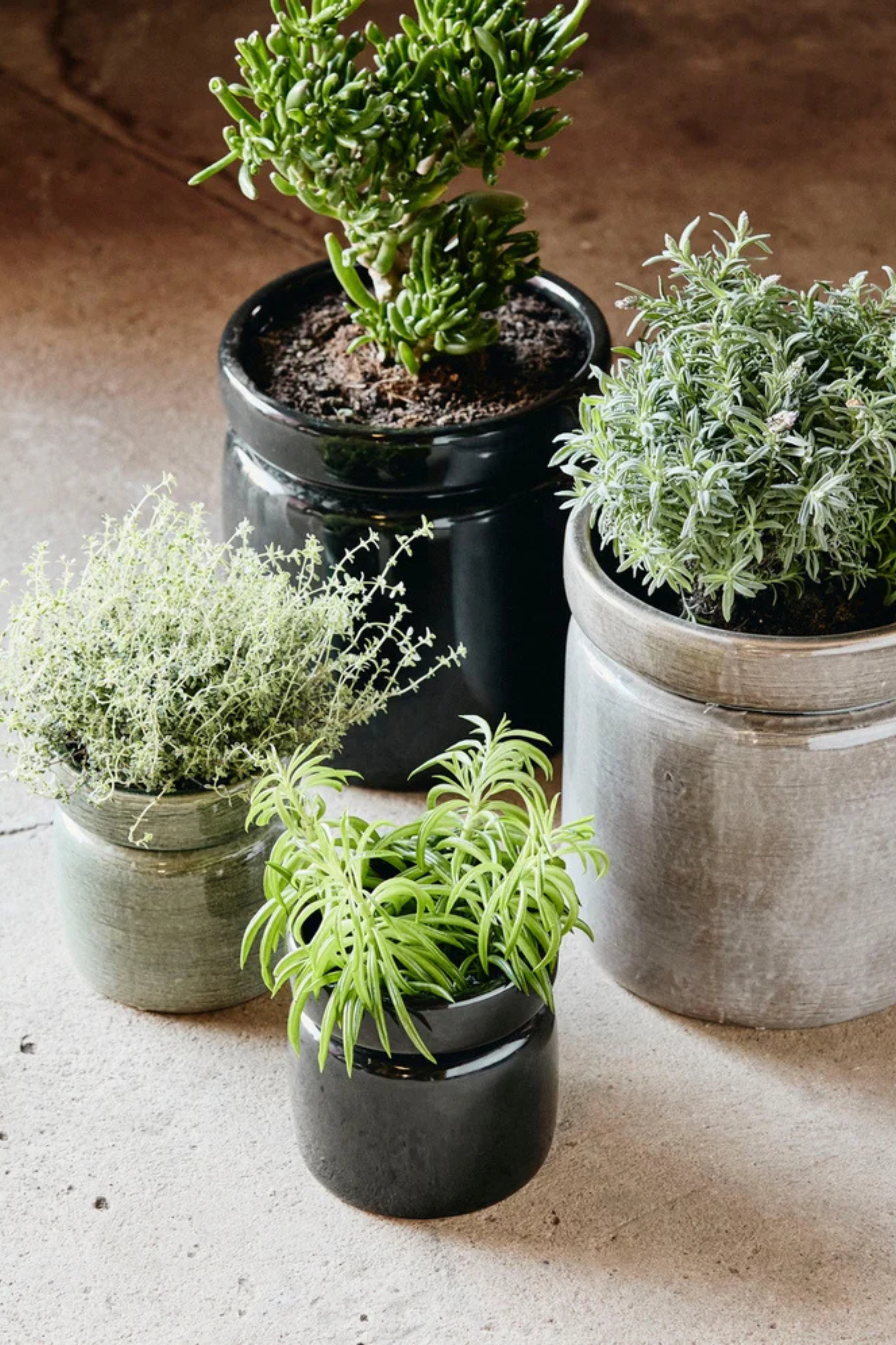 Isa pot s shiny black glaze