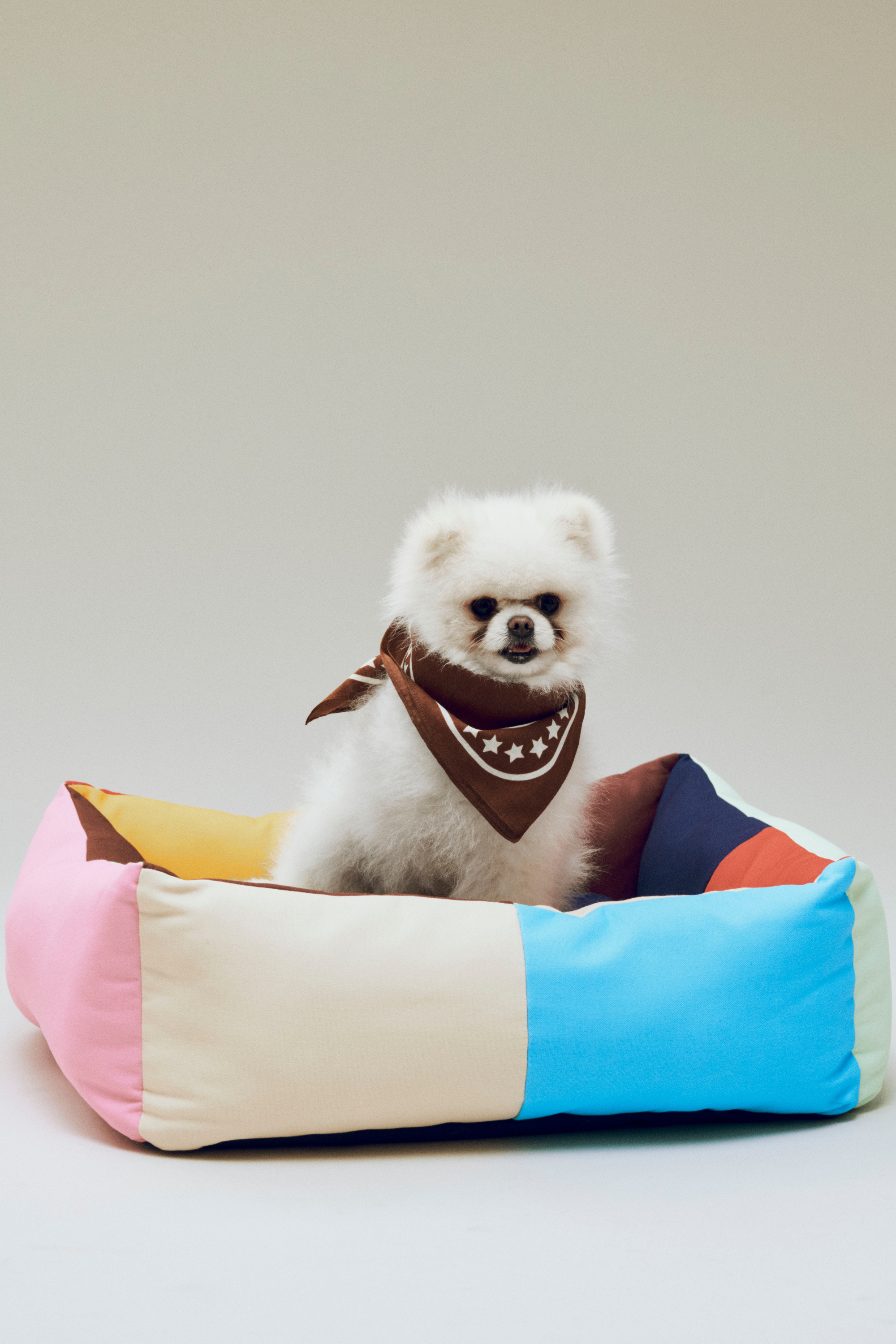 HAY Dogs Scarf (Recycled) 55x55 Brown