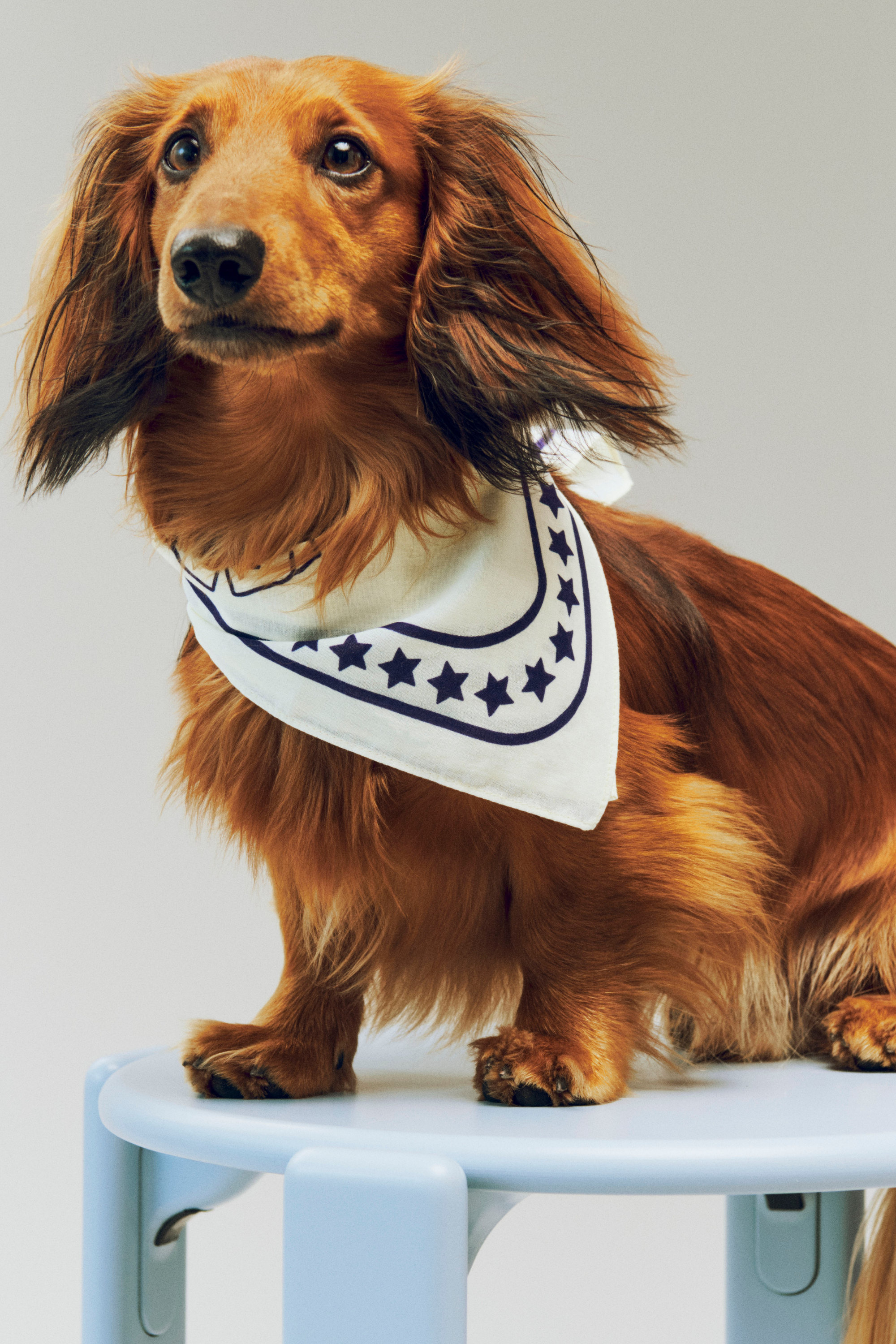 HAY Dogs Scarf (Recycled) 55x55 Off-white with blue