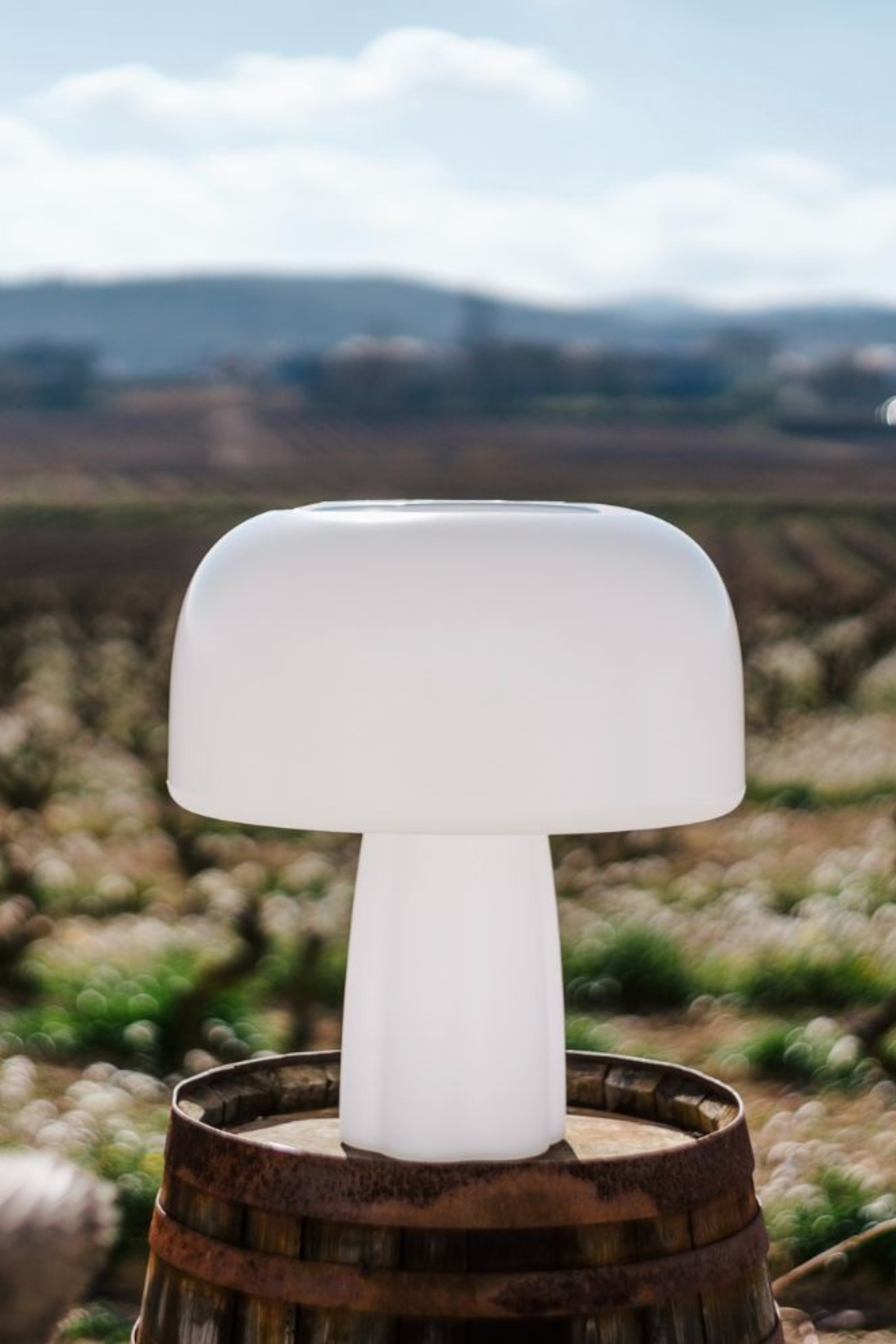 Boleti Lamp Solar Powered
