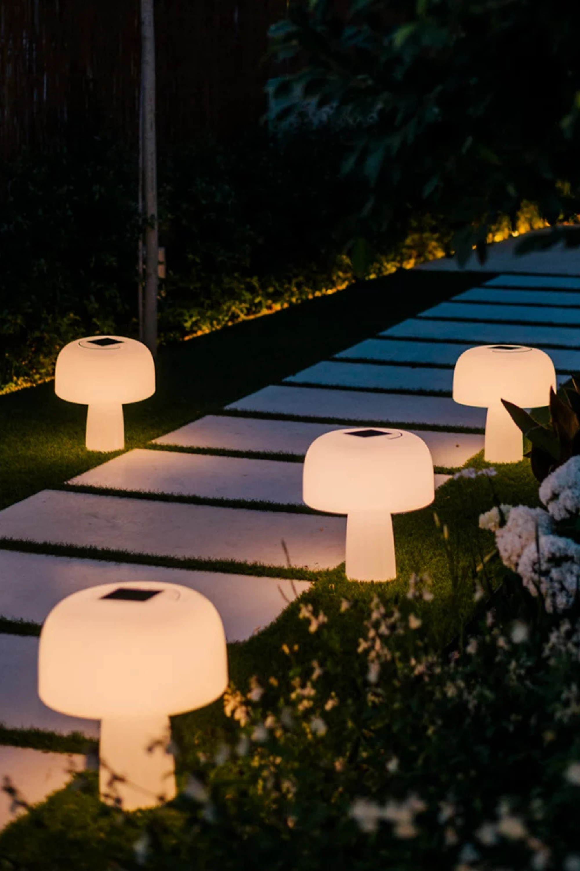 Boleti Lamp Solar Powered