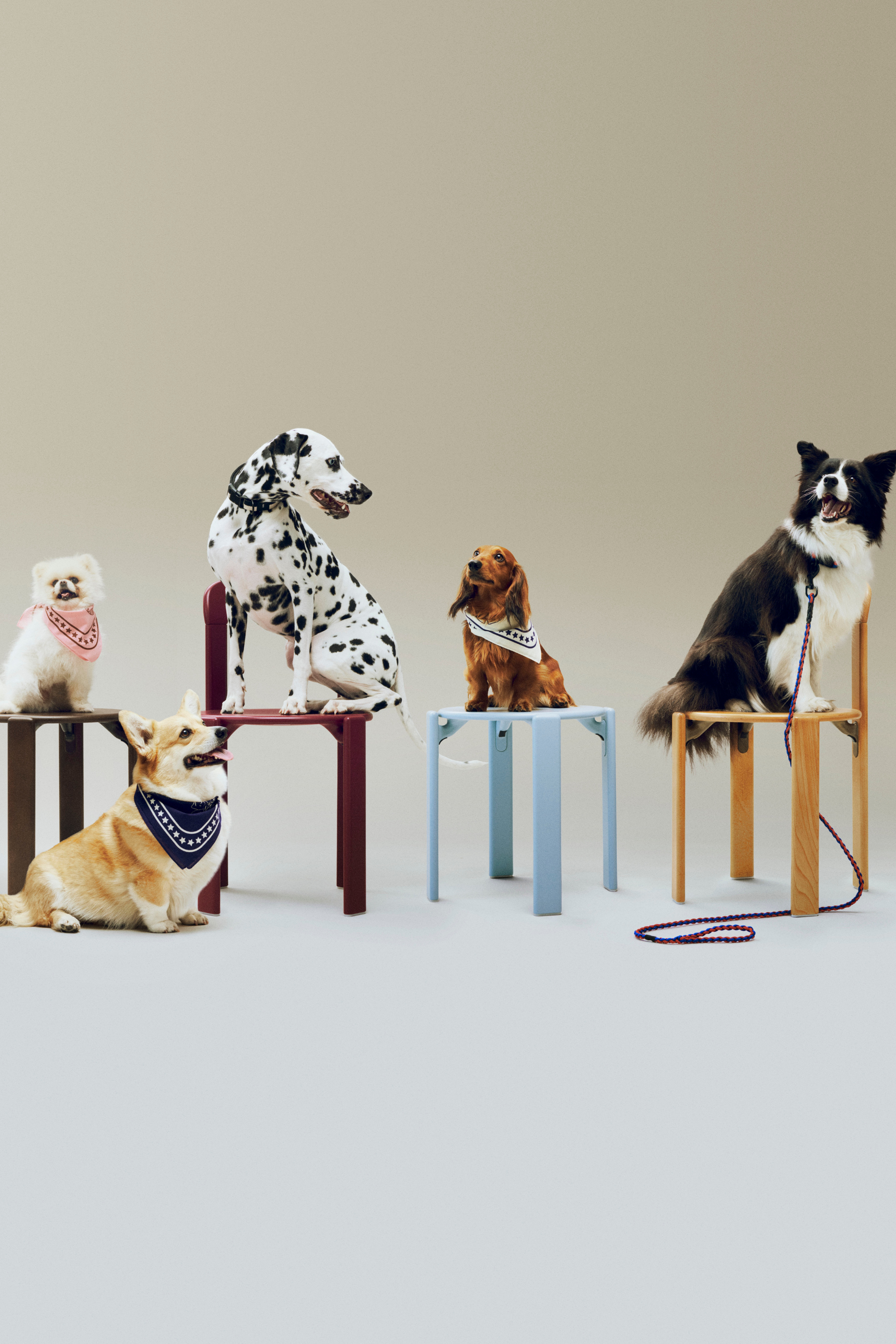 HAY Dogs Scarf (Recycled) 55x55 Off-white with blue