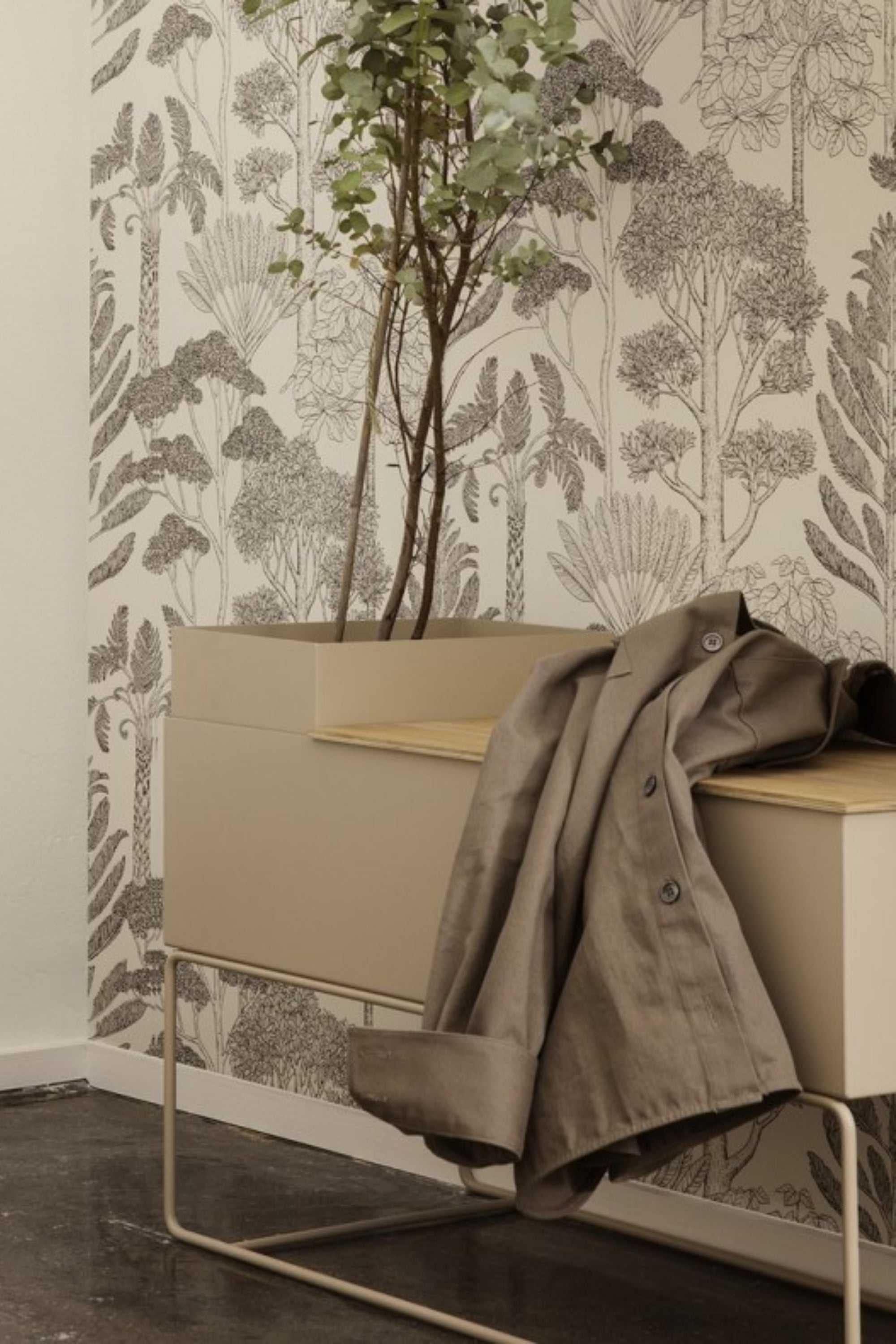 Tray for large plant box