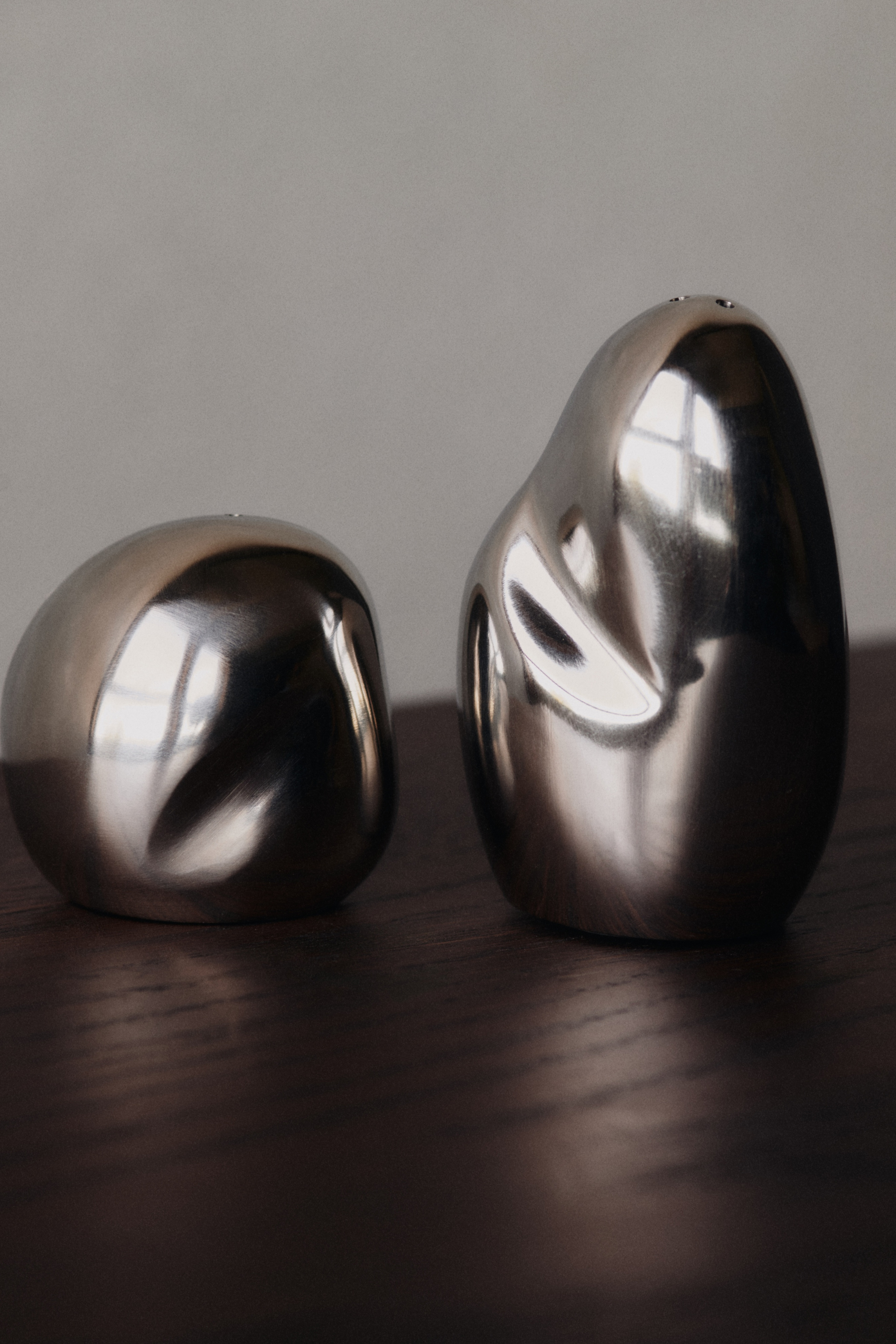 Orevo Salt and Pepper Shakers Set of 2 steel