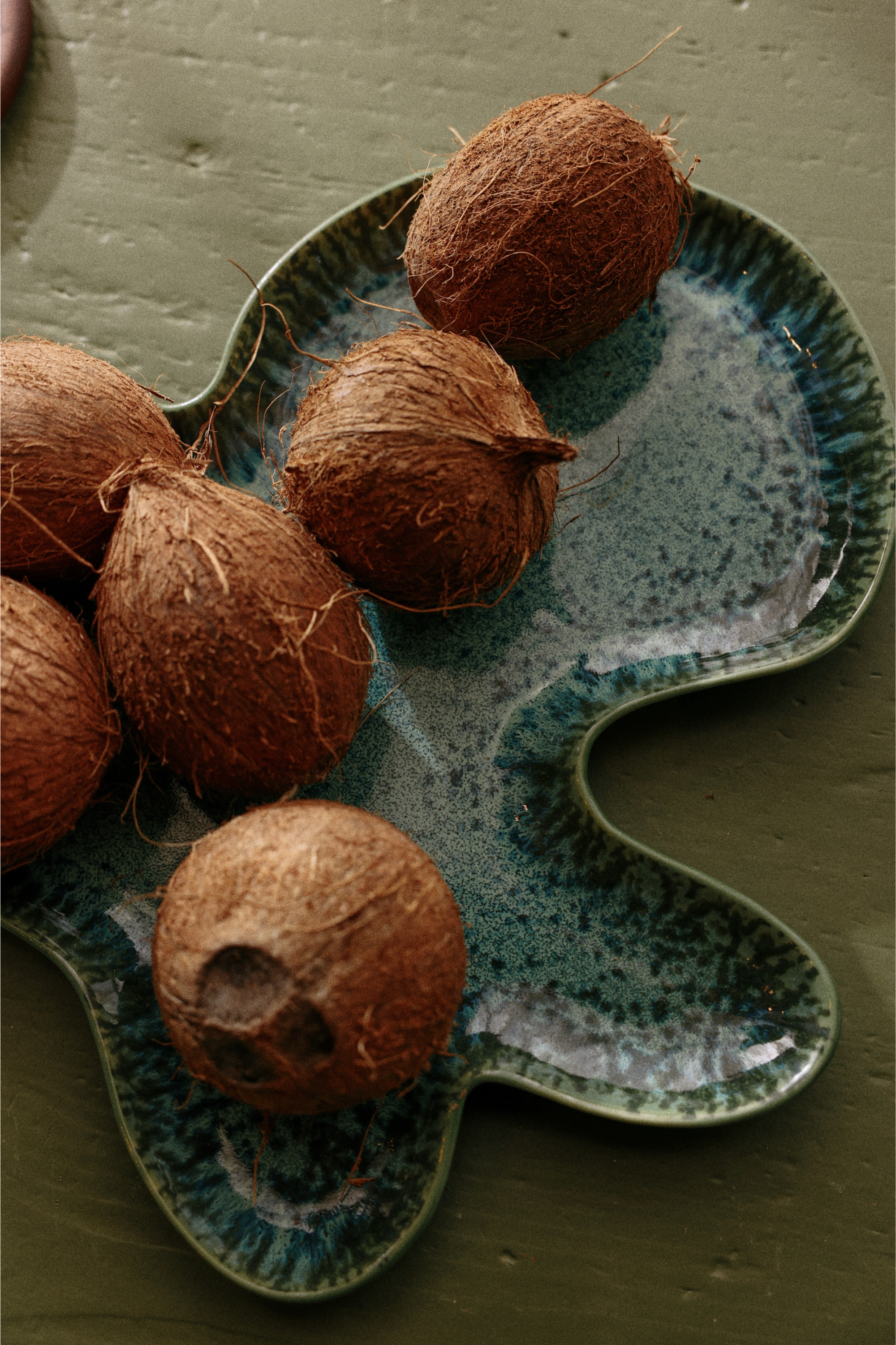 Shell plate teal