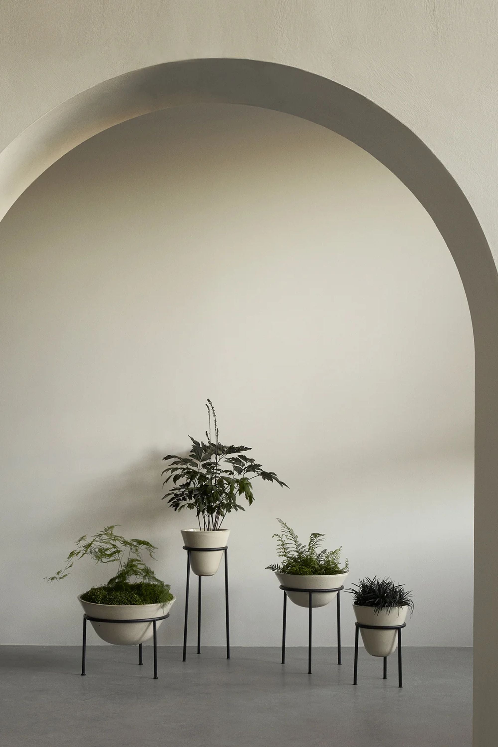 Daiza Planter H37 Ivory