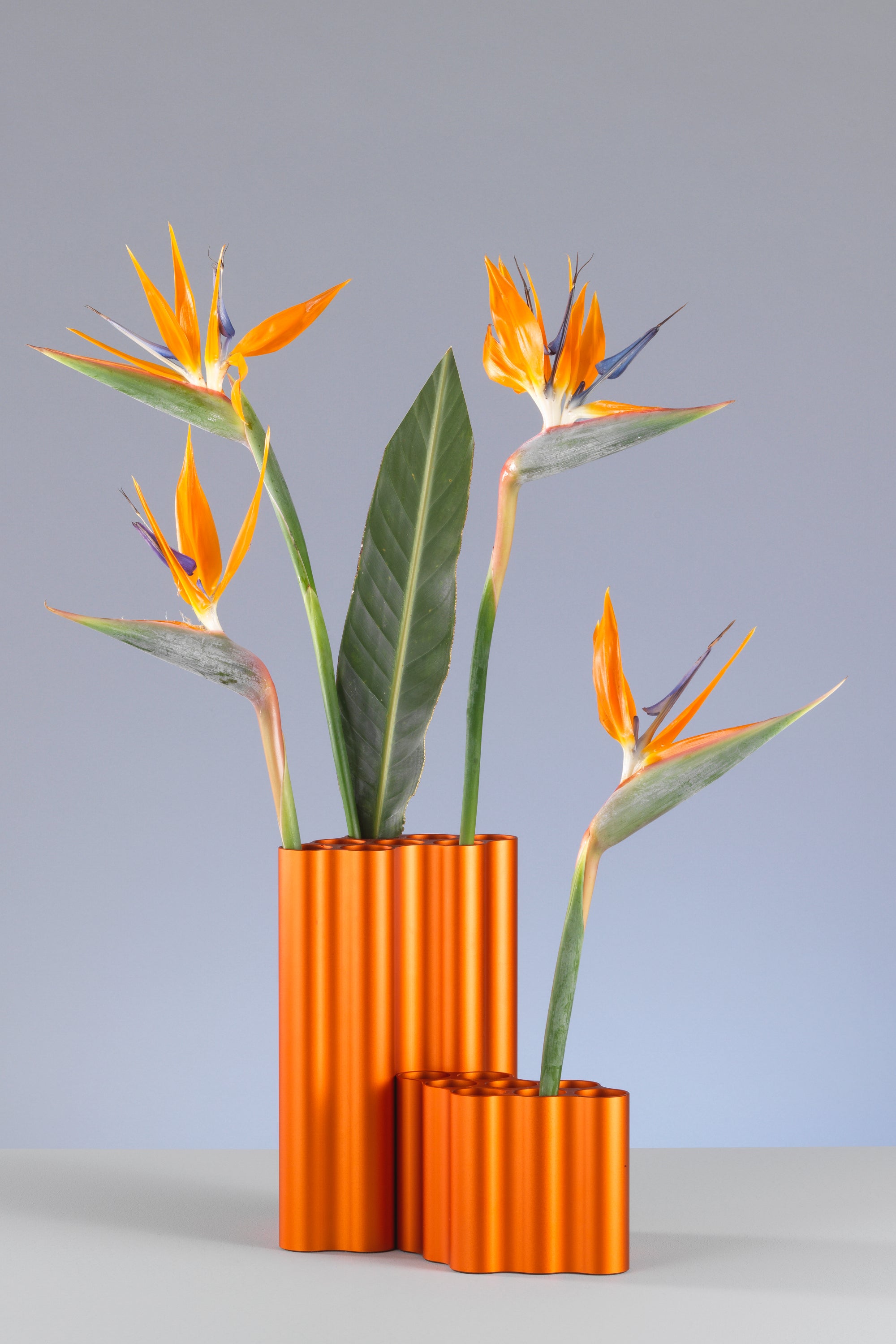 Nuage Vase Small Burnt Orange