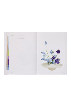 New Mags | Flower Colour Theory | Flower Colour Theory | Home of Solinfo