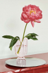 HAY Bottoms up váza, rózsaszín | Bottoms up vase, soft pink | Solinfo Shop