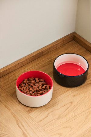 HAY | HAY S kék és piros kutyatál | HAY Dogs Bowl-Small-Blue, red | Home of Solinfo