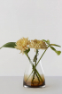 Ro Collection | No. 2 narancssárga váza | Flower Vase no. 2 - Burnt Sienna | Home of Solinfo