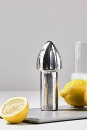 Zone Denmark | Rocks citromfacsaró | Zone Rocks Lemon squeezer/muddler| Home of Solinfo