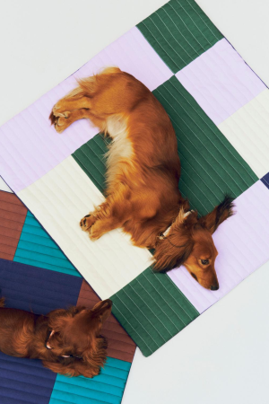 HAY | Hay levendula, zöld és kék szteppelt hordozható takaró 80 x 80 | HAY Dogs Travel Blanket-80 x 80-Lavender, green and blue Quilted | Home of Solinfo