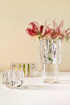 Tom Dixon Press közepes üveg váza | Press glass vase, medium | Solinfo Shop