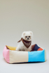 HAY | M színes kutyaágy | Dogs Bed-Medium-Multi | Home of Solinfo