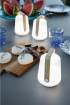 Fermob  | Hordozható lámpa szett 3 db | Bamboo lamps set of 3 | Home of Solinfo