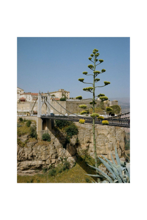 New Mags | Kinfolk Journeys | Kinfolk Journeys | Home of Solinfo