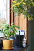 HAY | Botanical antracit kaspó XL | Botanical pot anthracite XL | Home of Solinfo