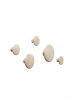 Muuto | Dots tölgyfa akasztó szett | Wood dots set, oak | Home of Solinfo