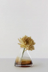 Ro Collection | No. 1 narancssárga váza | Flower Vase no. 1 - Burnt Sienna | Home of Solinfo
