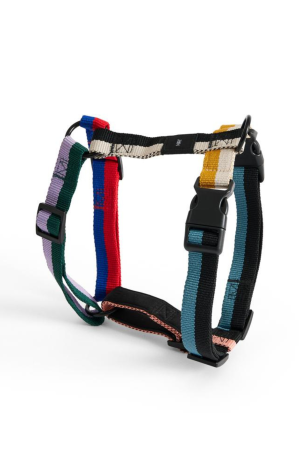 HAY | HAY M színes kutyahám | HAY Dogs Harness-Medium-Multi colour | Home of Solinfo