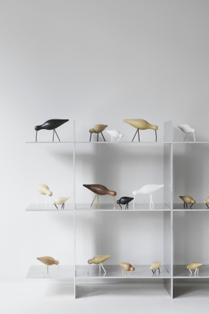 Normann Copenhagen | Shorebird kicsi fehér madár | Shorebird small white bird | Home of Solinfo